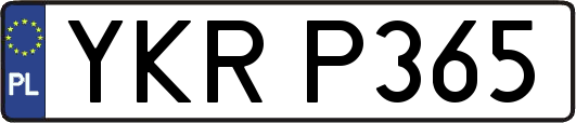 YKRP365