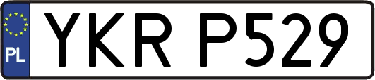 YKRP529
