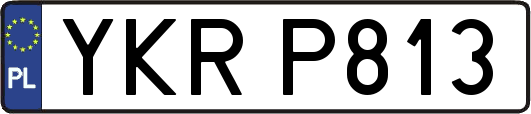YKRP813