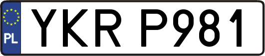 YKRP981