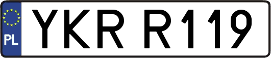 YKRR119