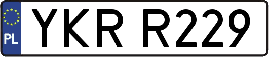 YKRR229