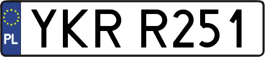 YKRR251