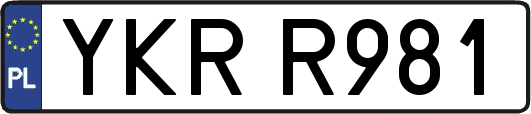 YKRR981