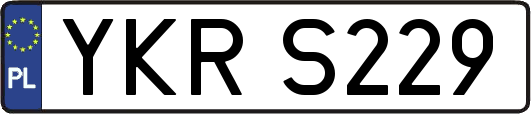 YKRS229