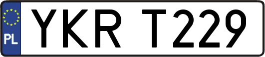 YKRT229