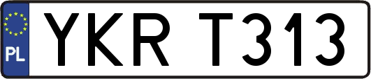 YKRT313