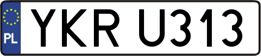 YKRU313