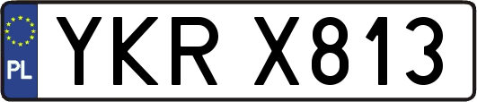 YKRX813