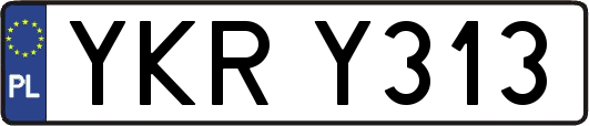 YKRY313