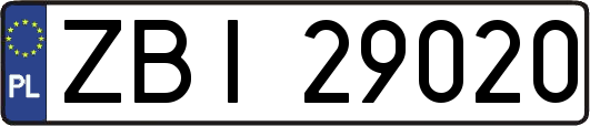 ZBI29020