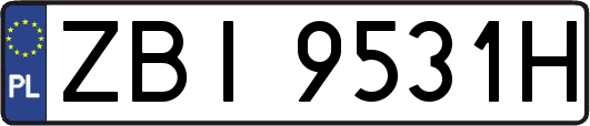 ZBI9531H