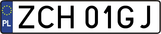 ZCH01GJ