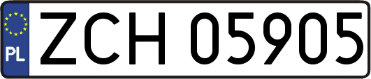 ZCH05905