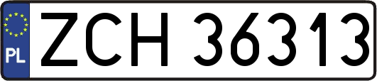 ZCH36313