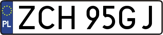 ZCH95GJ