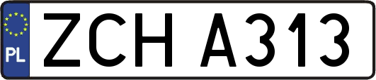 ZCHA313