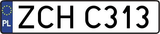 ZCHC313