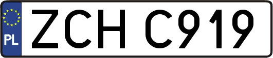 ZCHC919