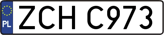 ZCHC973