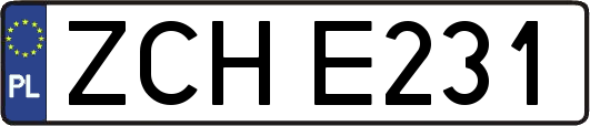 ZCHE231