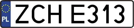 ZCHE313