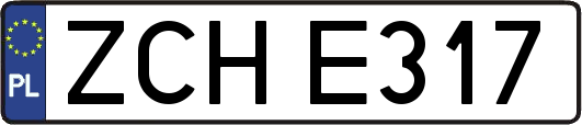 ZCHE317