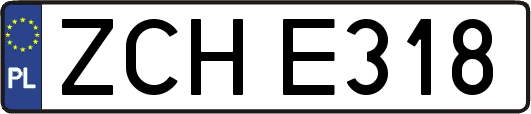 ZCHE318
