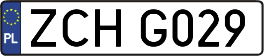 ZCHG029
