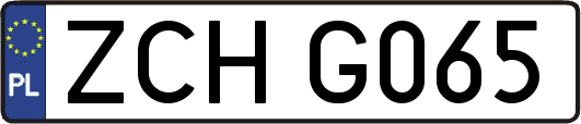 ZCHG065