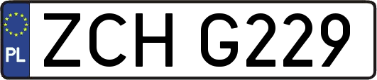 ZCHG229