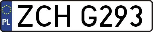 ZCHG293