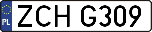 ZCHG309