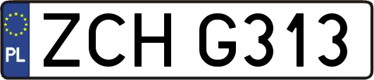 ZCHG313
