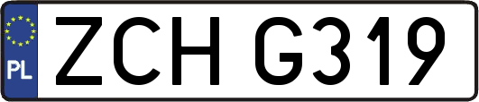 ZCHG319