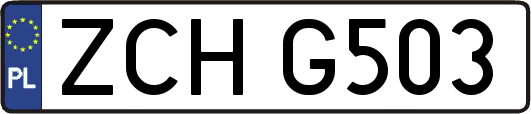 ZCHG503