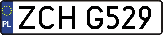 ZCHG529