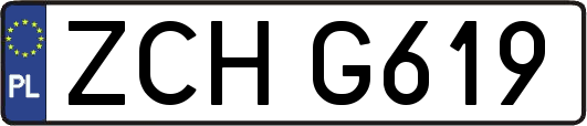 ZCHG619