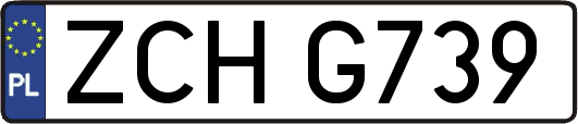 ZCHG739