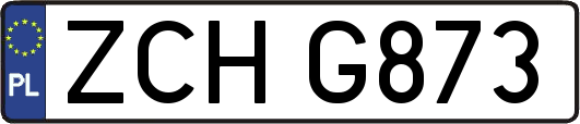 ZCHG873