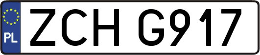ZCHG917