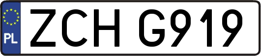 ZCHG919