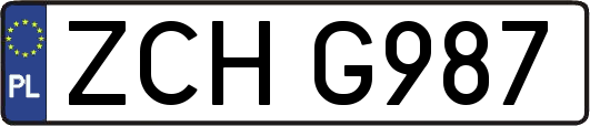 ZCHG987