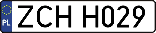 ZCHH029