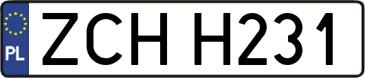 ZCHH231