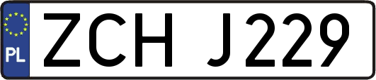 ZCHJ229