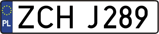 ZCHJ289