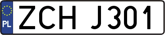 ZCHJ301