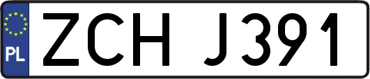 ZCHJ391