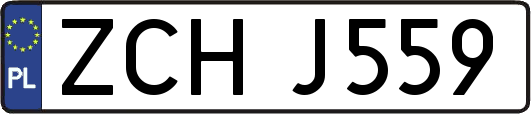 ZCHJ559